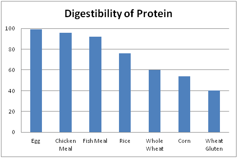 Digestibility of Protein in High Quality Dog Food